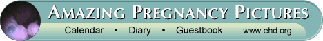 Amazing Pregnancy Pictures: Calendar, Diary, Guestbook