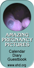 Amazing Pregnancy Pictures: Calendar, Diary, Guestbook