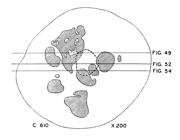 Graphic reconstruction