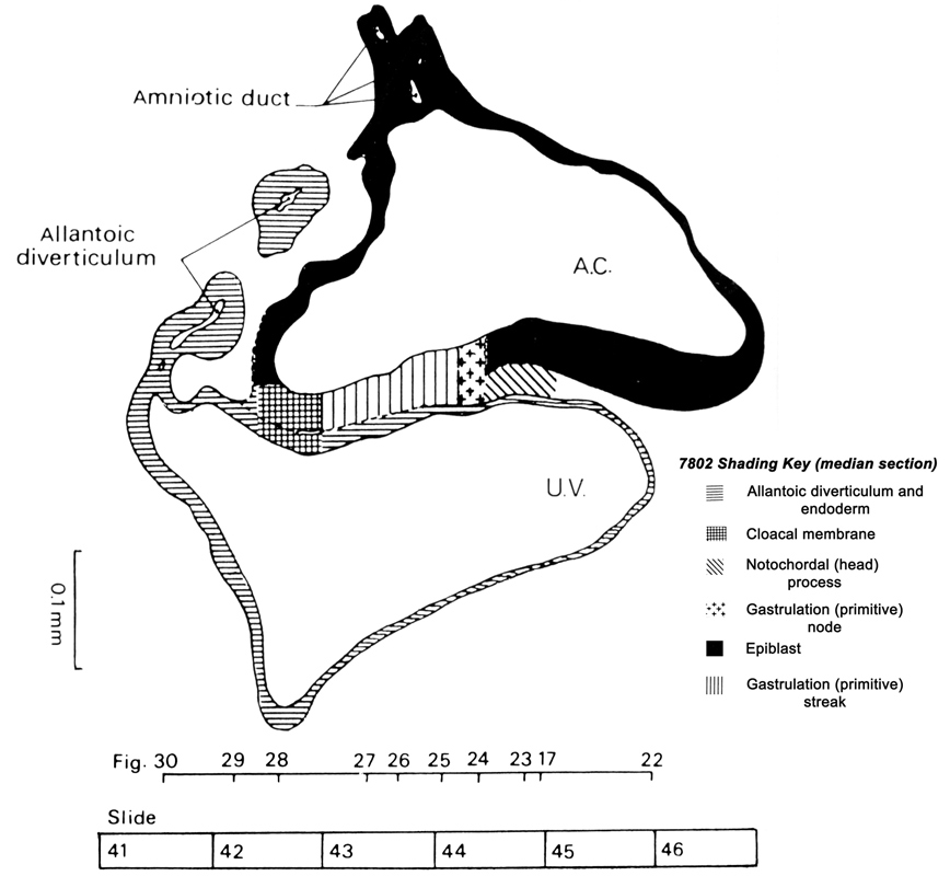 Median reconstruction