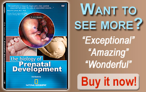 Buy the Biology of Prenatal Development DVD