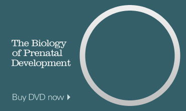 Buy the Biology of Prenatal Development DVD