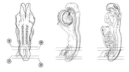 Fig 4-10 sideview