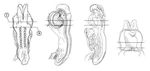 Fig 4-6 sideview