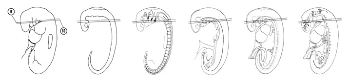 Fig 5-10 sideview