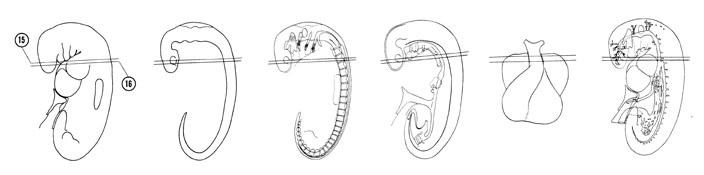 Fig 5-13 sideview