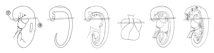 Fig 5-14 sideview