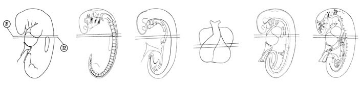 Fig 5-16 sideview