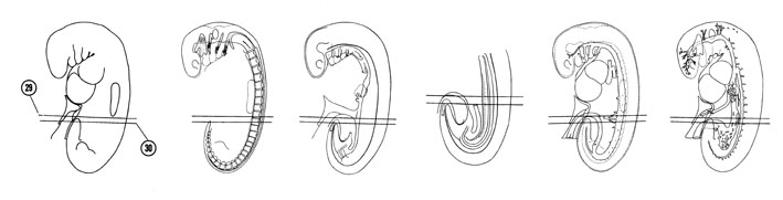 Fig 5-20 sideview