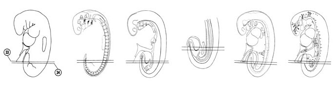 Fig 5-22 sideview