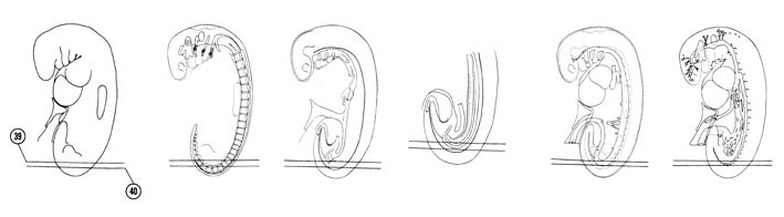 Fig 5-25 sideview