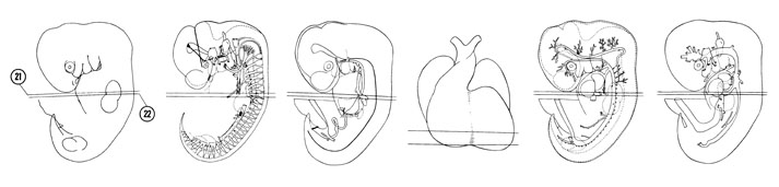 Fig 6-16 sideview