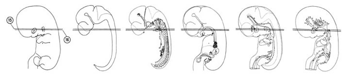 Fig 7-13 sideview