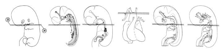 Fig 7-17 sideview