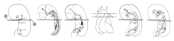 Fig 7-18 sideview