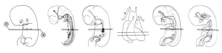 Fig 7-21 sideview