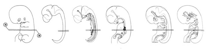 Fig 7-23 sideview