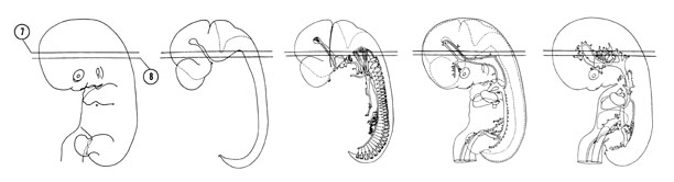 Fig 7-9 sideview