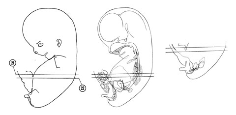 Fig 8-13 sideview