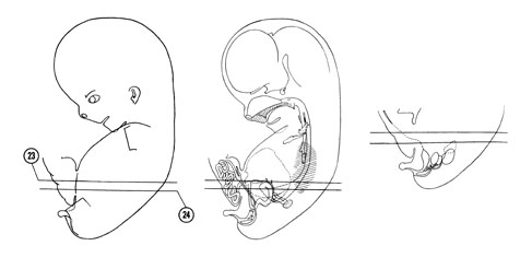 Fig 8-14 sideview