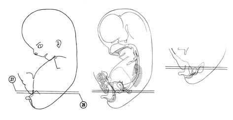 Fig 8-16 sideview