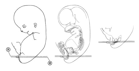 Fig 8-18 sideview