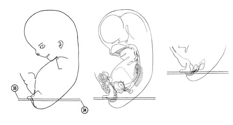 Fig 8-19 sideview