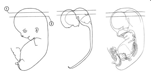 Fig 8-3 sideview