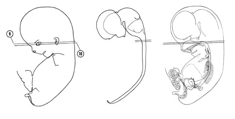 Fig 8-7 sideview