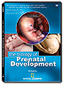 Purchase the Biology of Prenatal Development DVD