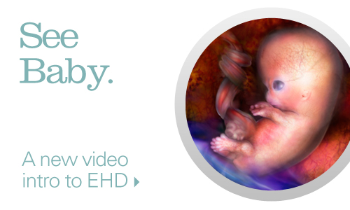 See Baby. A new intro video to EHD.