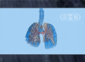 Comparación del desarrollo pulmonar