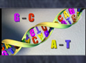 DNA Structure