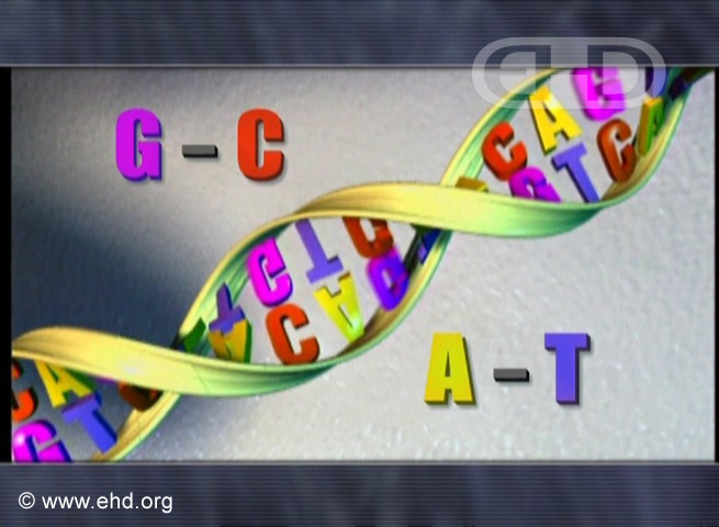 Estrutura do DNA [Clique para a próxima imagem]