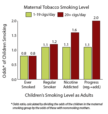 graph showing that Heavier Maternal Smoking During Pregnancy Increased Children's Odds of Nicotine Addiction as Adults