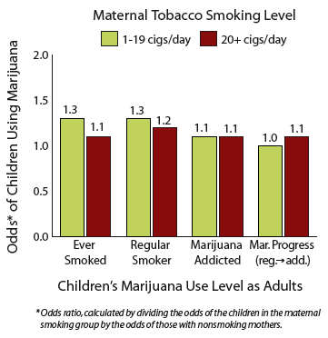 graph showing Maternal Tobacco Smoking During Pregnancy Did Not Affect Children's Odds of Marijuana Use as Adults