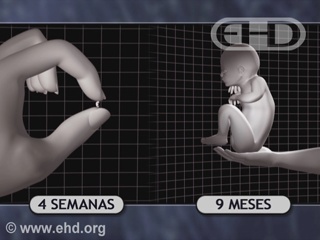 Reproducir película - Size Comparison