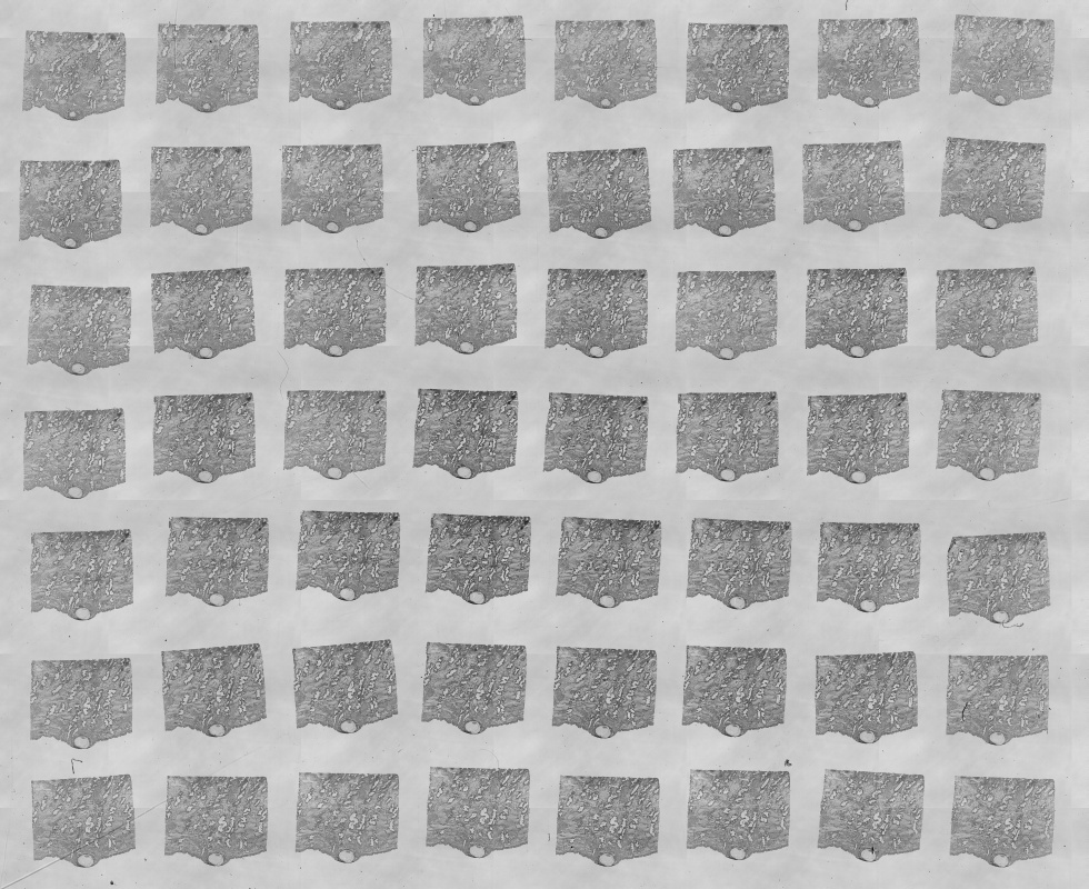 Embryo 7700 original glass slides 6