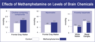 graph showing effects of methamphetamine on levels of brain chemicals