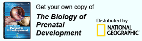 The Biology of Prenatal Development DVD