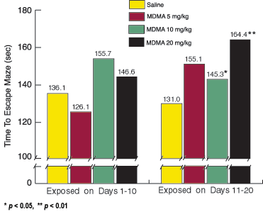 Graph showing that animals exposed to MDMA take longer to escape multiple-T water maze