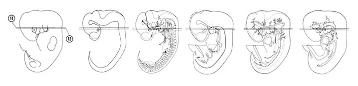 Fig 6-11 sideview