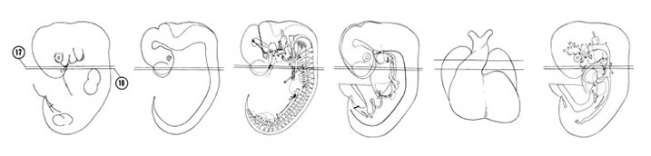 Fig 6-14 sideview