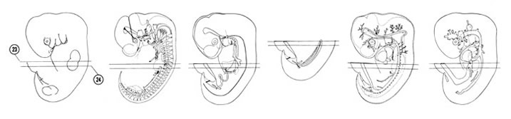 Fig 6-17 sideview