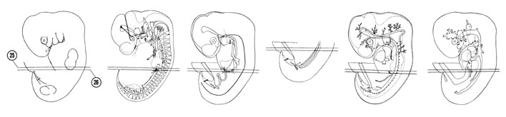 Fig 6-18 sideview