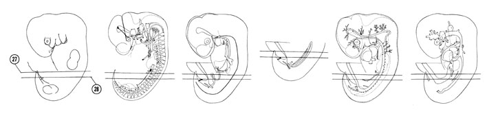 Fig 6-19 sideview