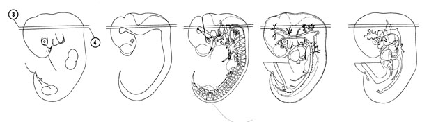 Fig 6-7 sideview