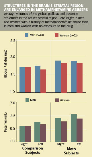 graph, Structures in the Brain's Striatal Region are enlarged in Methamphetamine Abusers