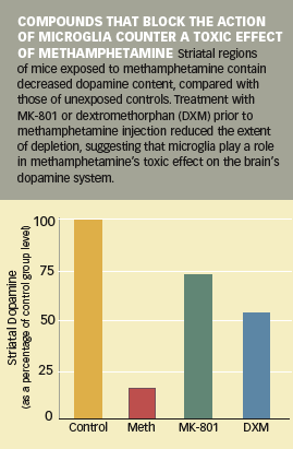 graph showing Compounds that block the action of microglia counter a toxic effect of Methamphetamine