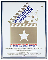 Worldfest Houston Platinum Remi Website Award